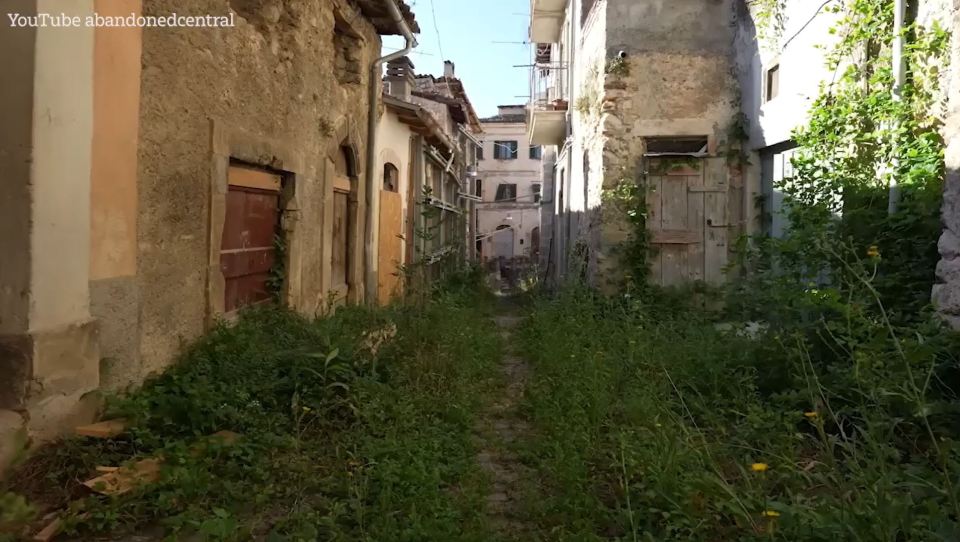 Streets are overgrown and buildings are derelict