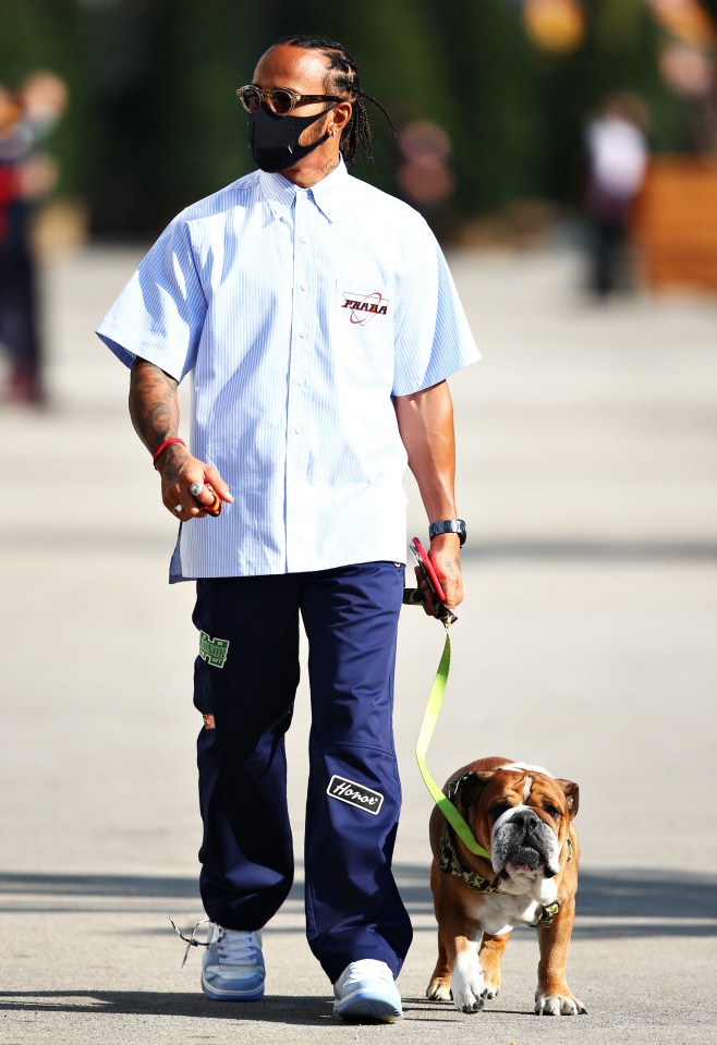 Hamilton’s bulldog Roscoe is a regular guest on the F1 paddock