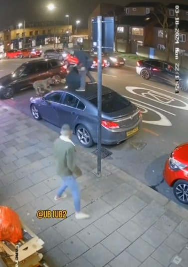 The chilling moment a man fears for his life as a manic XL Bully lurches up onto a car bonnet to attack