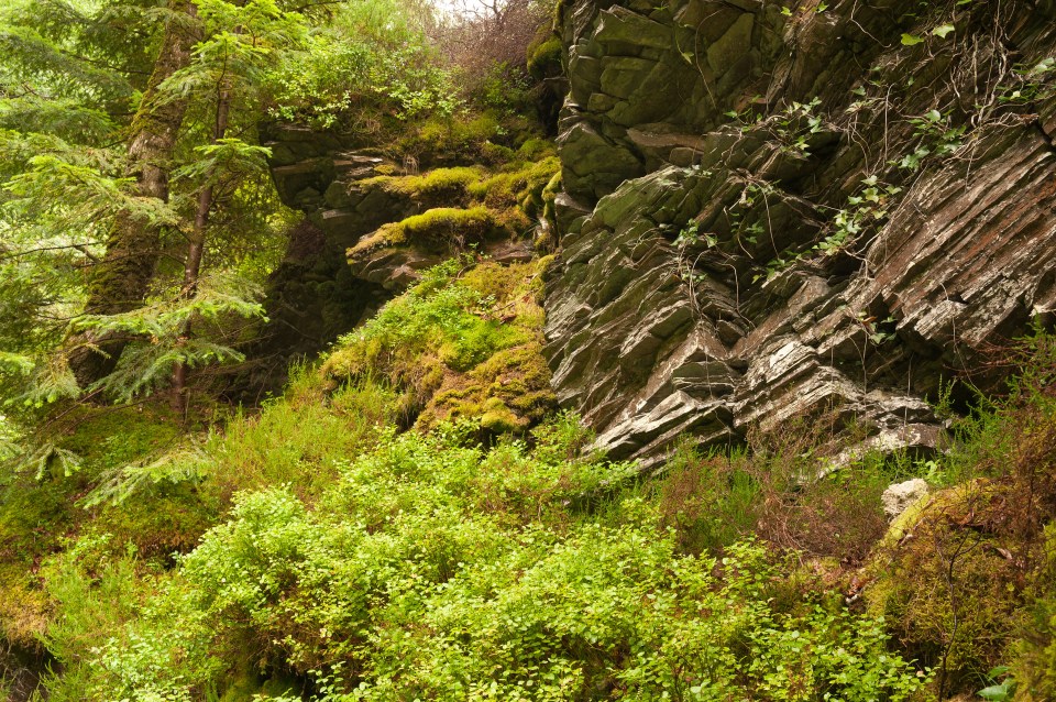 Hikers should be careful as surfaces along Rheidol paths may be slippy