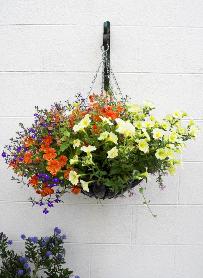 One users even suggested using the hanging baskets indoors