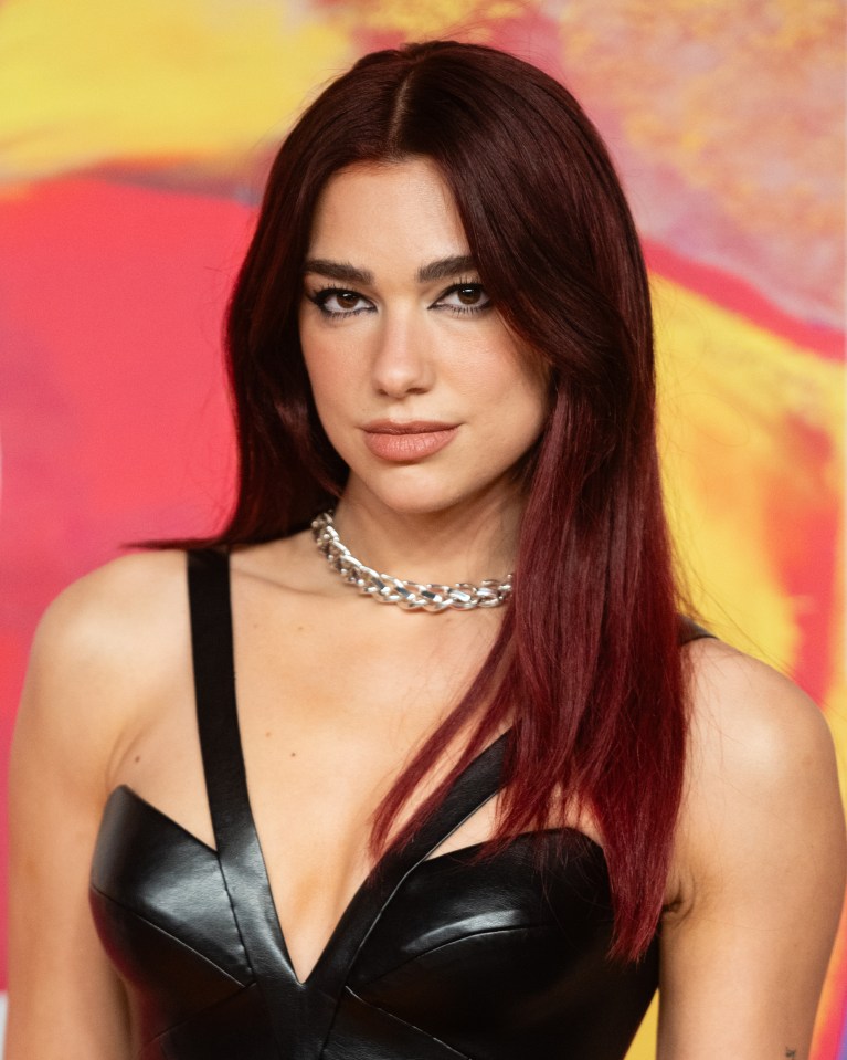 It appears New Rules singer Dua Lipa won’t get a look in