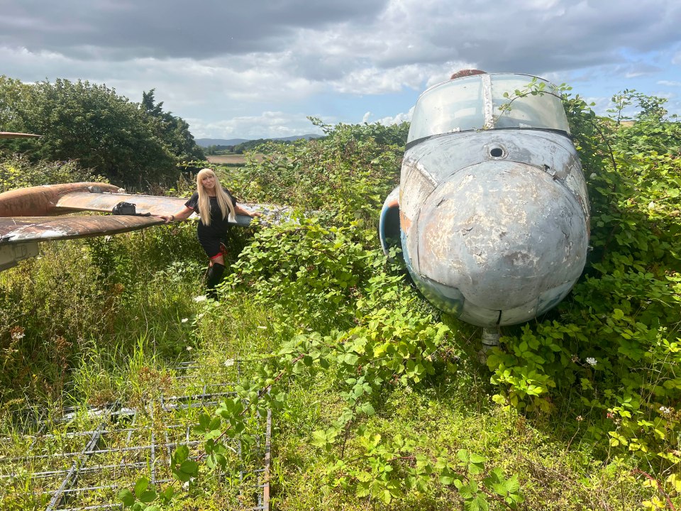 Margaret Flo McEwan, 58, snapped the airplane graveyard in all its decaying beauty