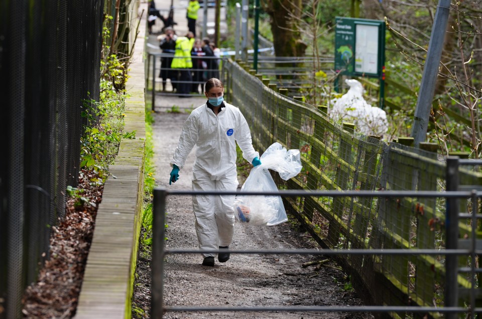 Forensic officers at Kersal Dale, near Salford, where a headless human torso was found