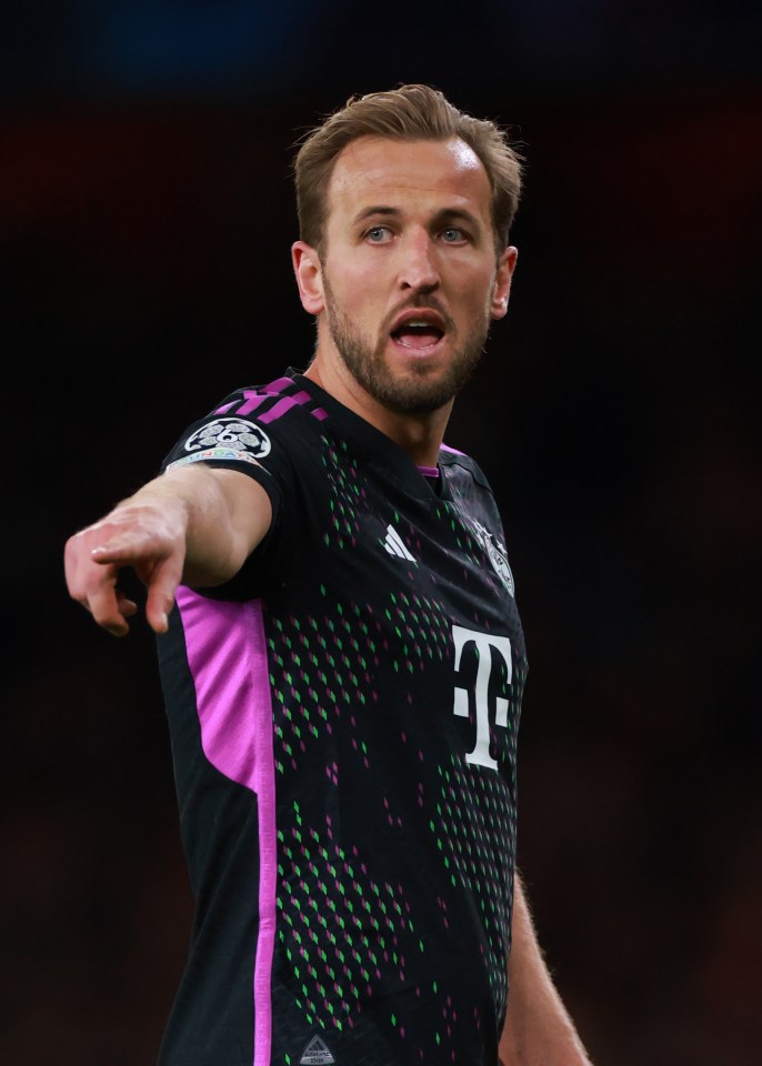 It is understood Harry Kane had just landed back home for the Champions League clash as the ordeal took place