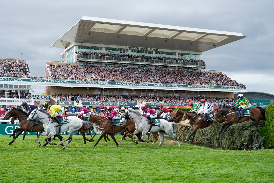 The stands were absolutely packed at Aintree to see the Grand National