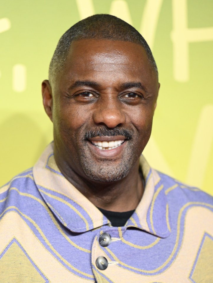 Idris appears in the series with Ellie Taylor