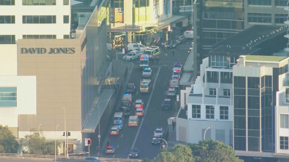 Emergency services gather near the scene of the stabbing