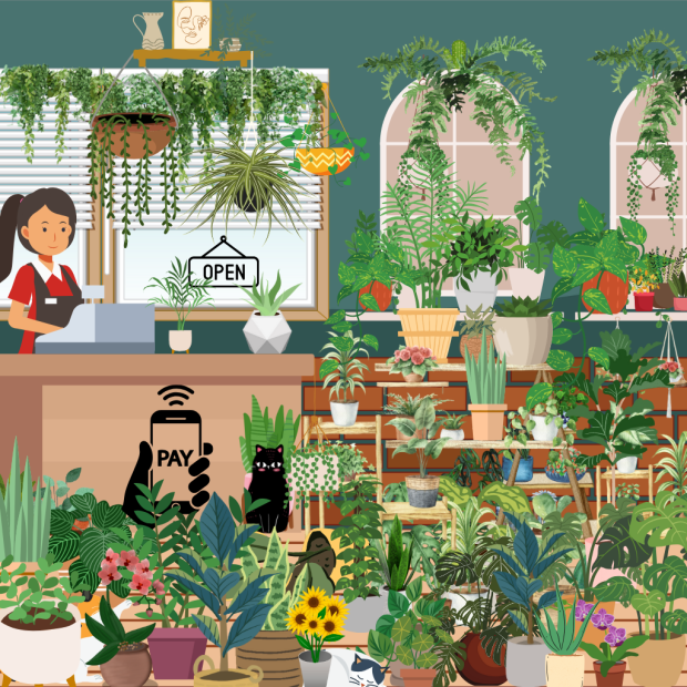 Can you find the cactus hidden within this image of a plant shop?