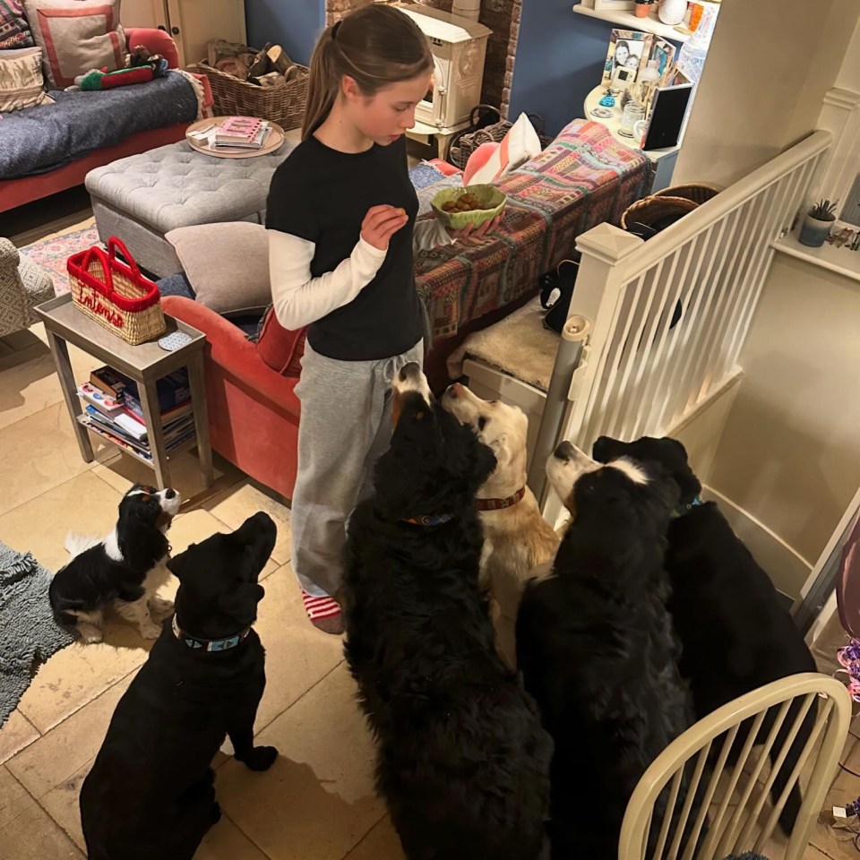 Ben’s six pooches are pictured with his daughter, Iona