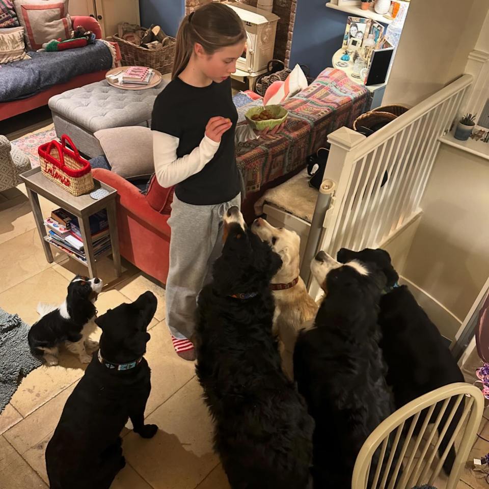 Ben's six pooches are pictured with his daughter, Iona