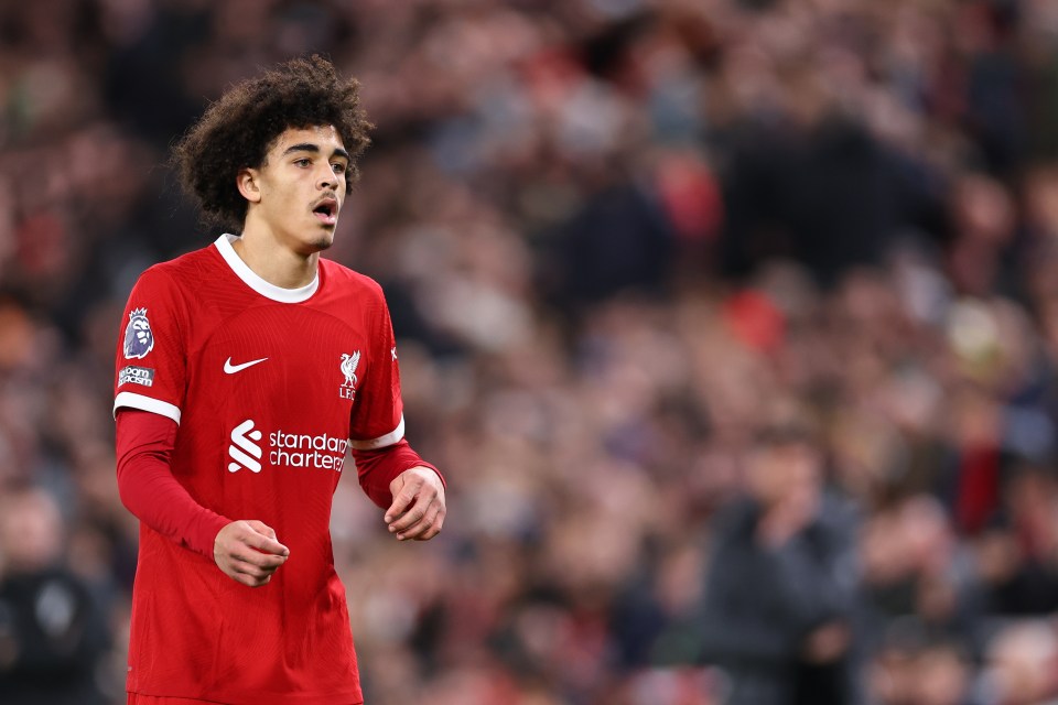 Jayden Danns is one of five Liverpool teens to be given minutes this season