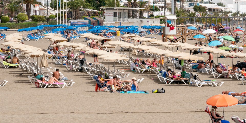 Tenerife is facing a wave of demos calling for fewer — and richer — holidaymakers