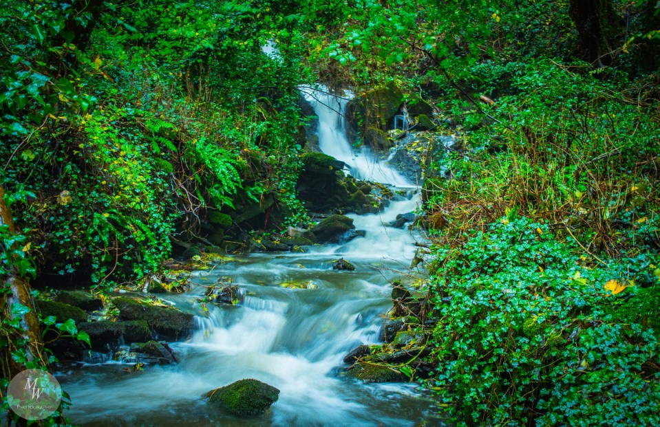 The waterfall has been labelled both 'beautiful' and 'peaceful'