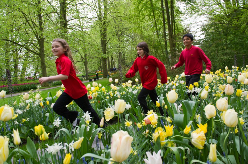 There are treasure hunts and activities for children in the gardens