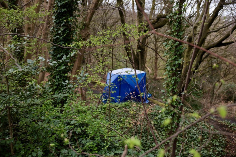 A forensic tent was set up at the scene