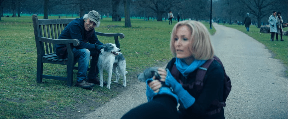 He appeared in a scene alongside Gillian Anderson who plays Emily Maitlis