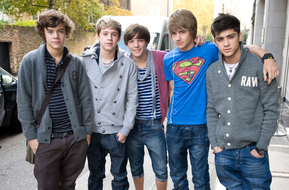 The series will look at the rise and fall of boy bands, pictured One Direction in 2010