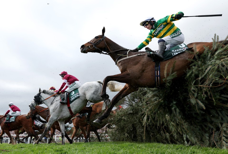 I Am Maximus ploughed through a load of his fences in the National but still ran out an easy winner at Aintree