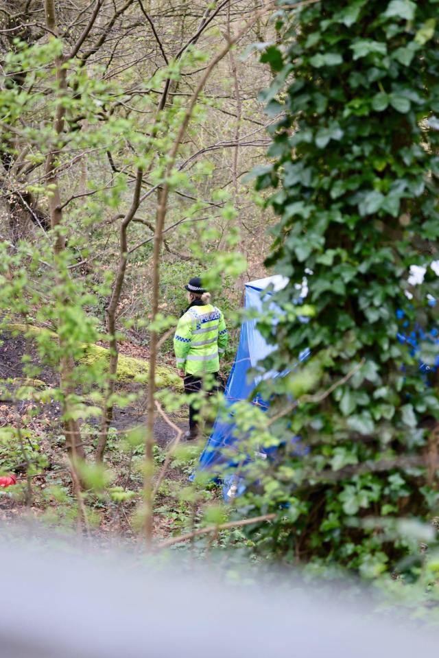 Police are searching for more body parts after it was confirmed a headless torso had been found