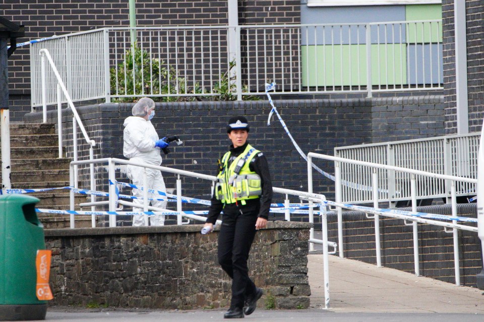 A teen girl charged over a stabbing at a school in Wales has appeared in court