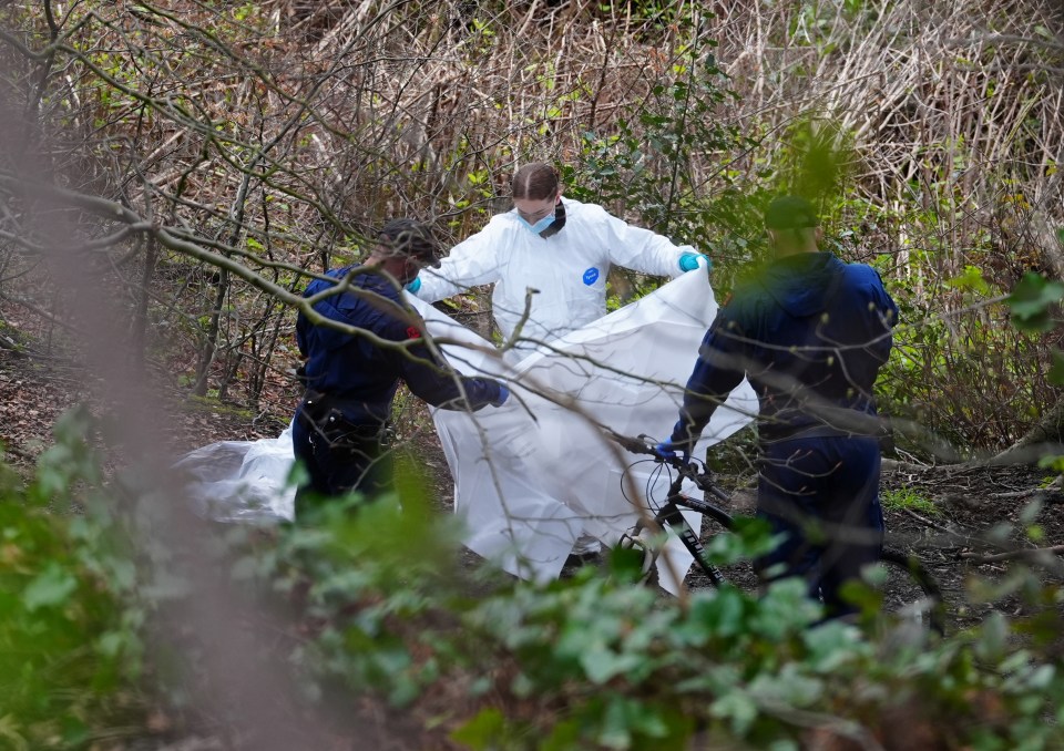 Forensic officers in the wooded area