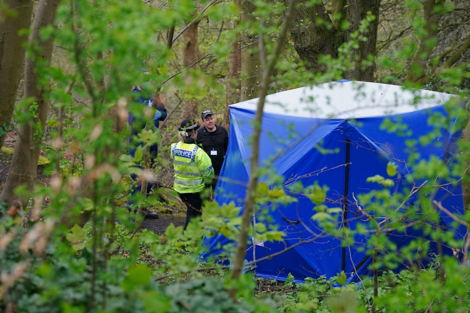 Police officers by the blue forensic tent