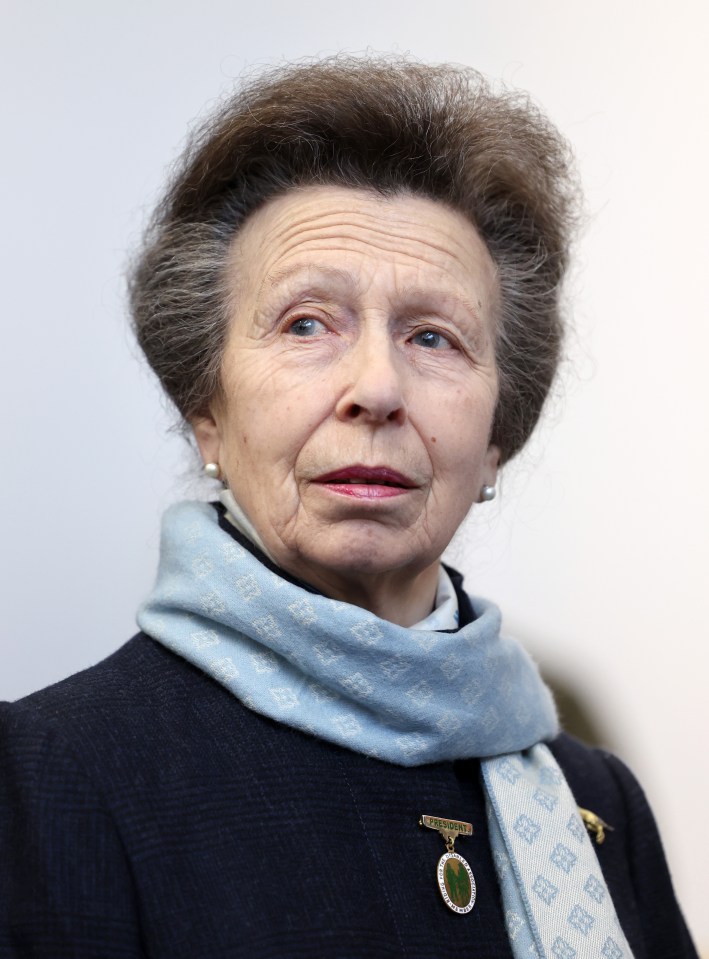 The Princess Royal would like to appear on Strictly Come Dancing