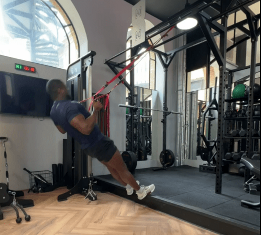 You can also give TRX rows a go