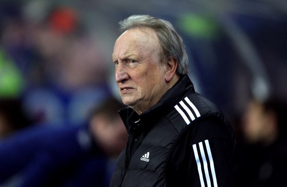 Neil Warnock has been tipped as one potential successor