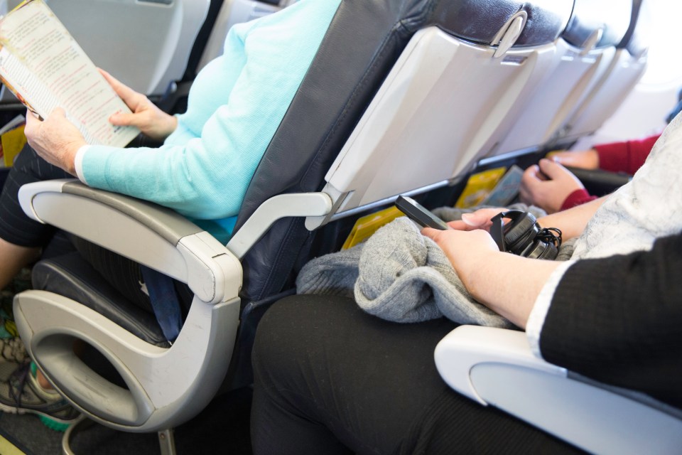 One passengers felt economy class travel was “disgusting”