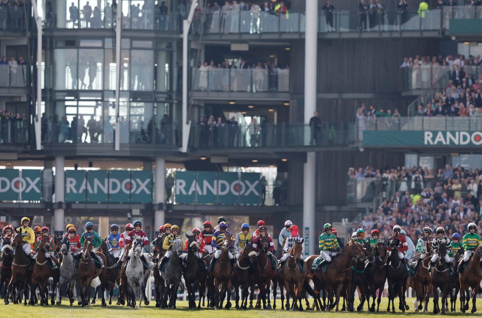 The 34-runner field for Saturday's Grand National is set