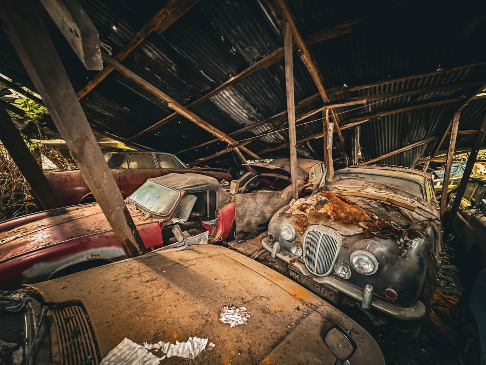 The cars had been left to 'sadly rot'