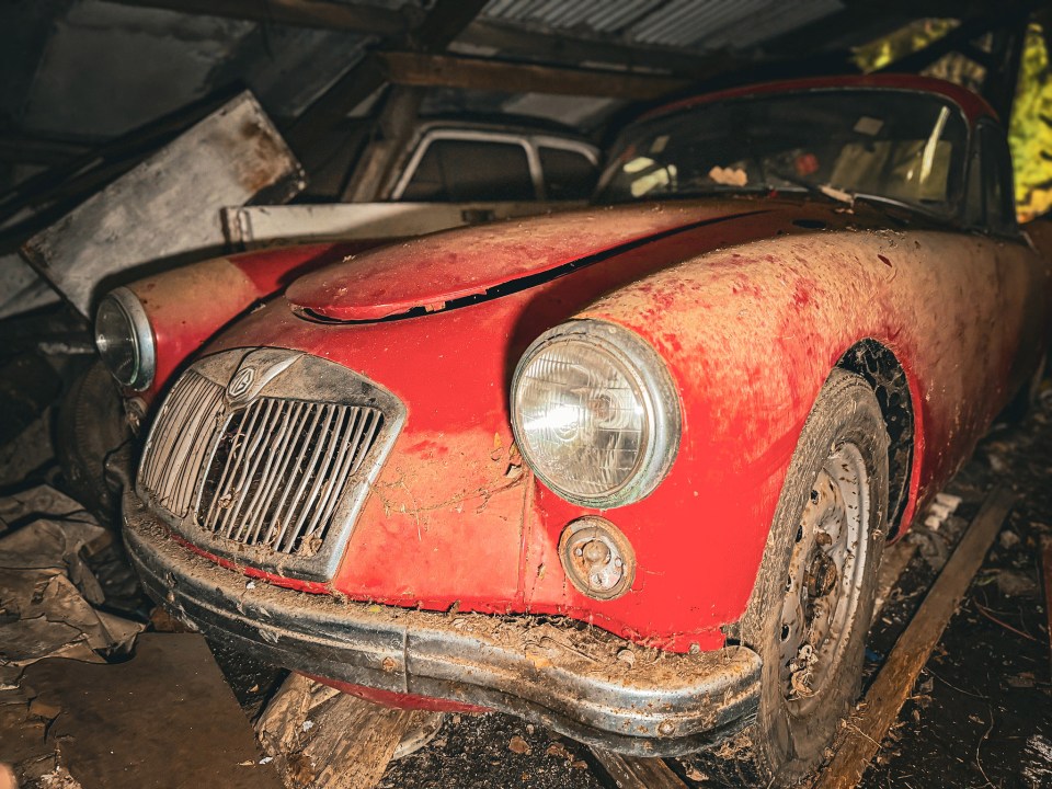 Around 50 classic and vintage cars were found abandoned in the motor graveyard