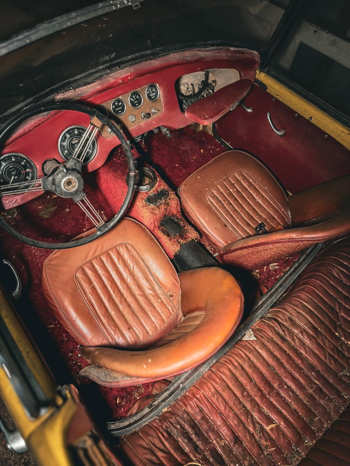 The vintage car graveyard is deep in the forest