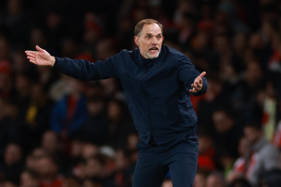 Tuchel appealed to the officials after witnessing the incident