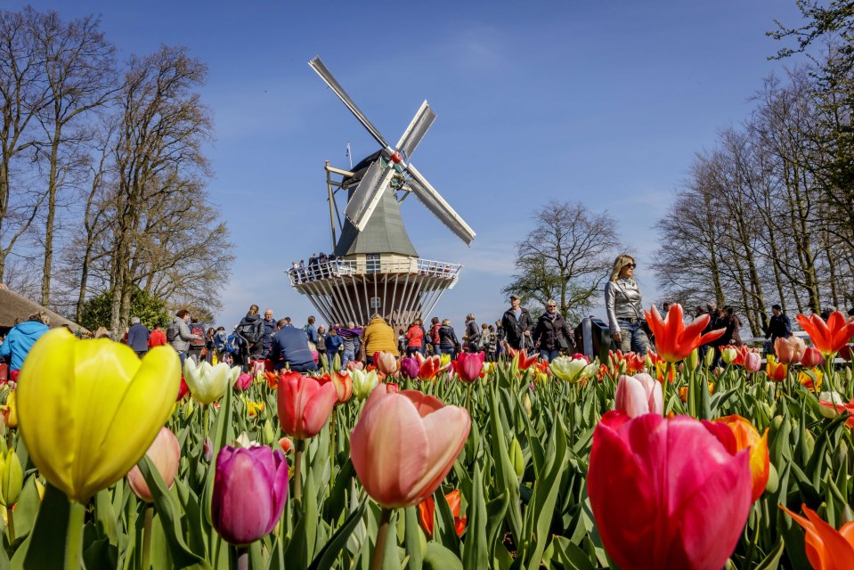 As well as the flowers there’s a windmill from the 1800s