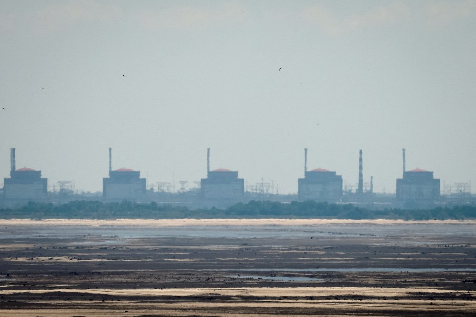 Five of the six reactors on site