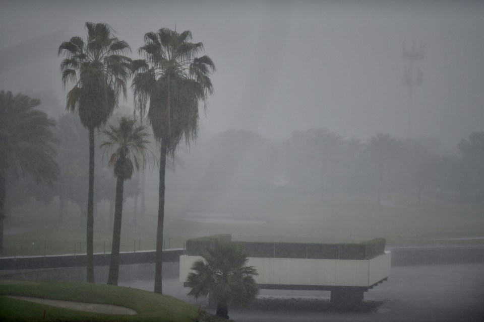 The iconic Dubai palm trees faced a batter from the thunder, lightning and intense winds