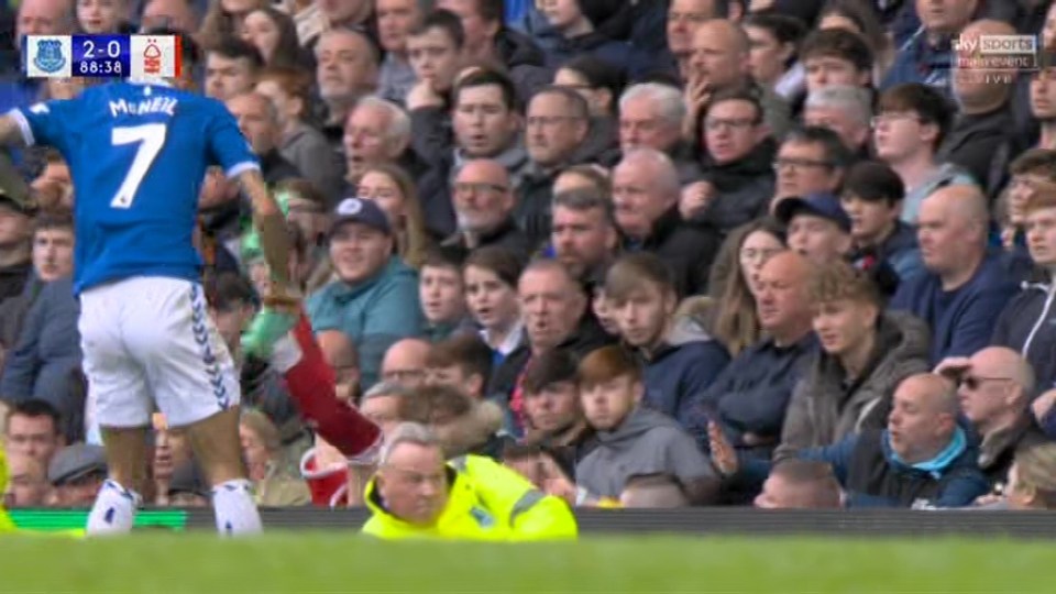 The Nottingham Forest defender ended up in the crowd at Goodison Park