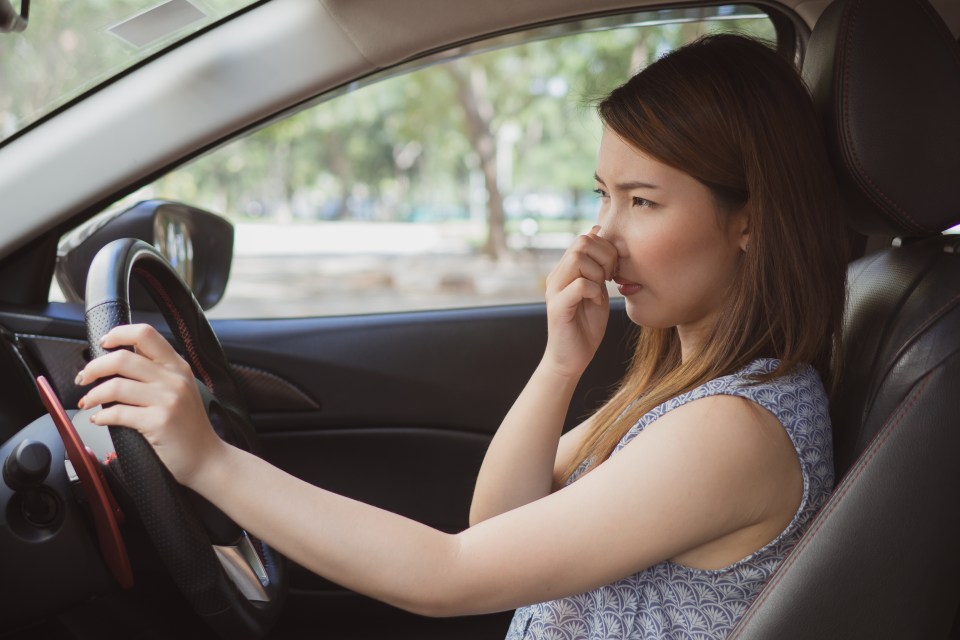 A little-known car button could be the key to keeping bad smells out of your motor