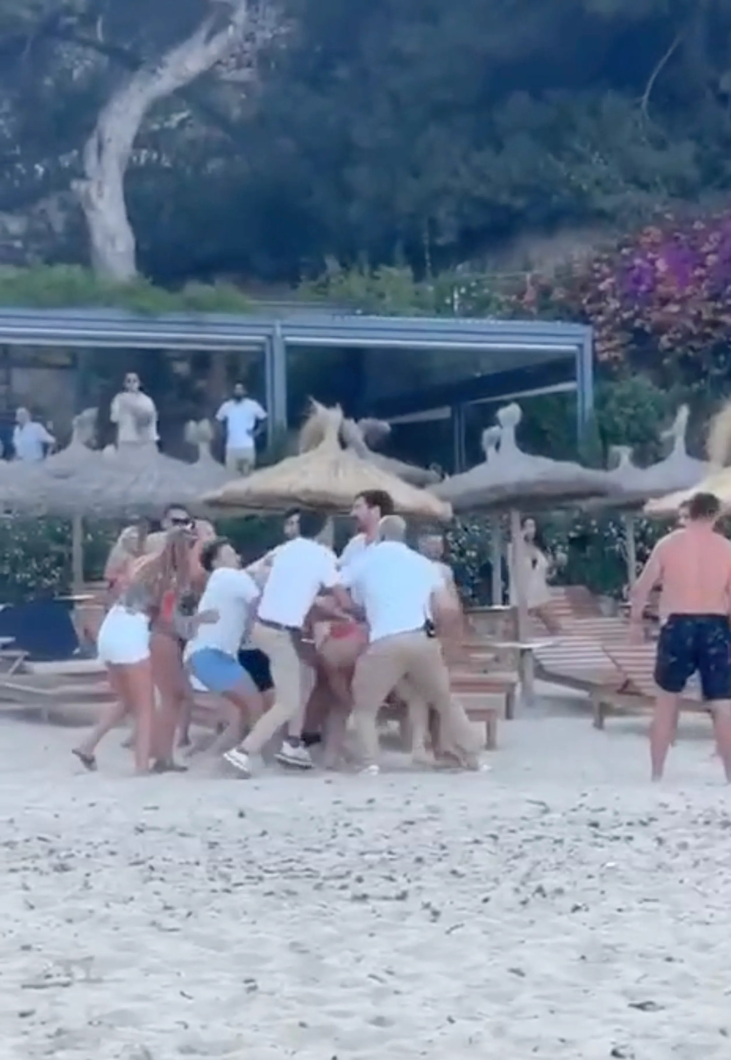 A huge brawl erupted on a beach in Majorca last week