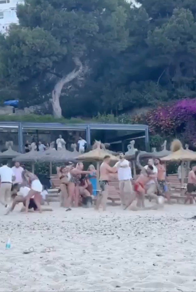 Staff were seen struggling with the drunk Brits on a Majorca beach