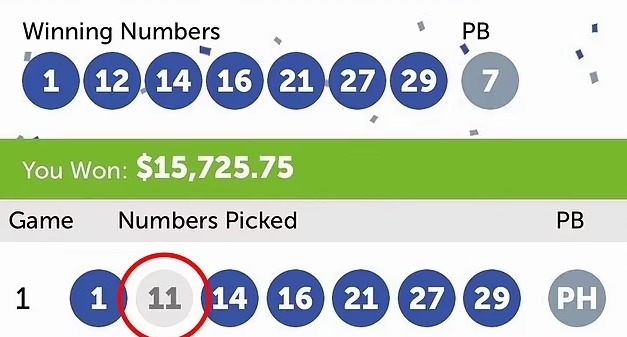 Rob's agonising blunder saw him get six out of the seven correct numbers