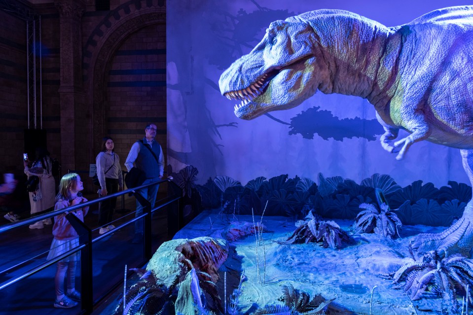 You can marvel at a huge dinosaur at the Natural History Museum, London