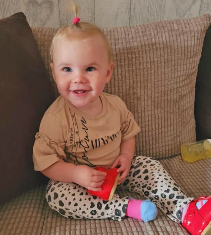 Bella-Rae Birch was just 17 months old when she was killed by an XL Bully