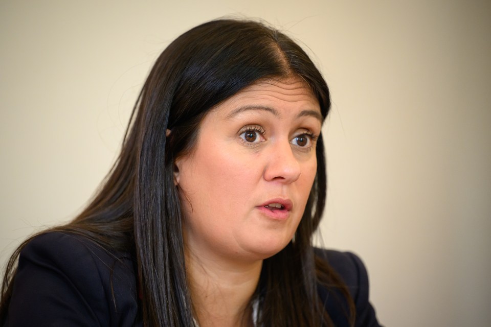 Labour's Shadow Secretary of State for International Development Lisa Nandy