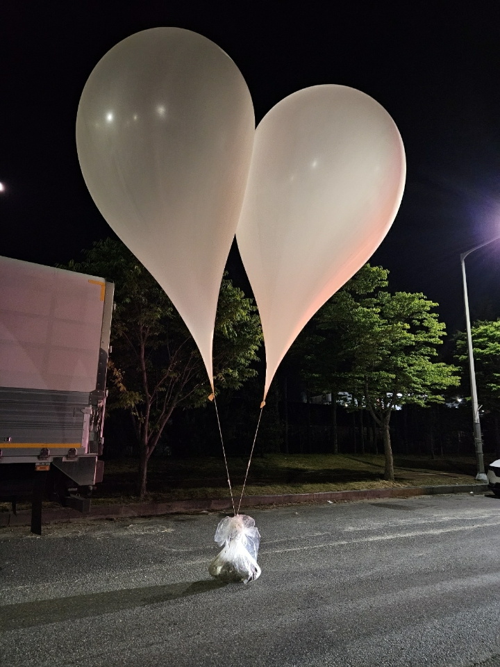 Some 260 balloons were sent into South Korea in May