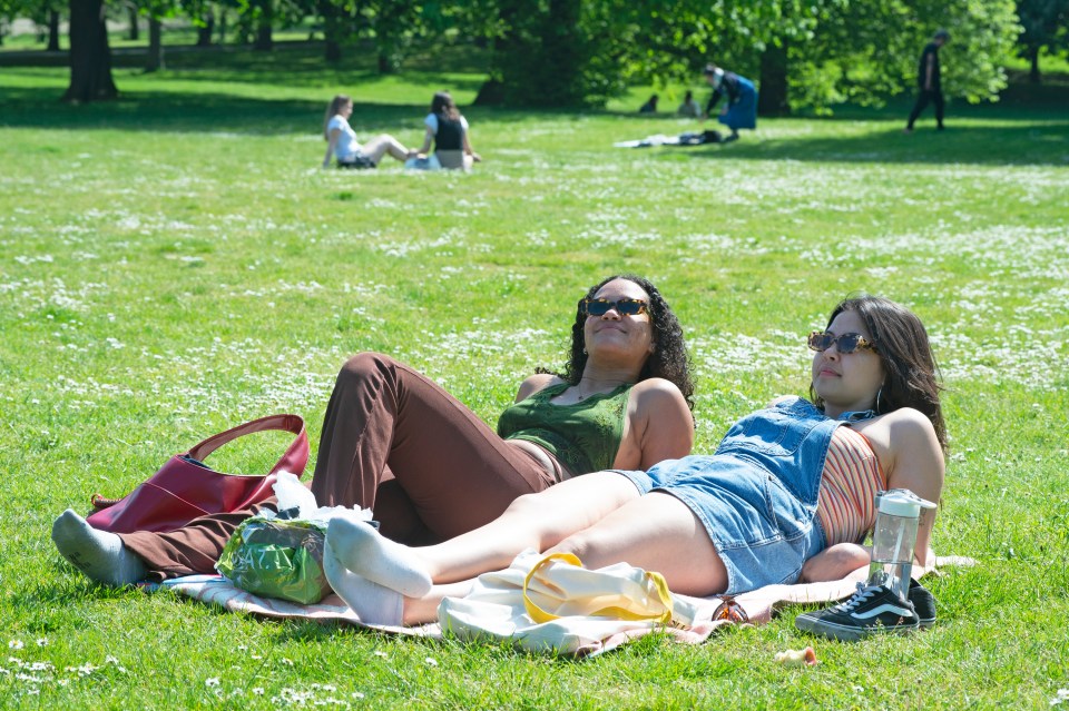 Two pals enjoy the sunshine today in London's Greenwich Park