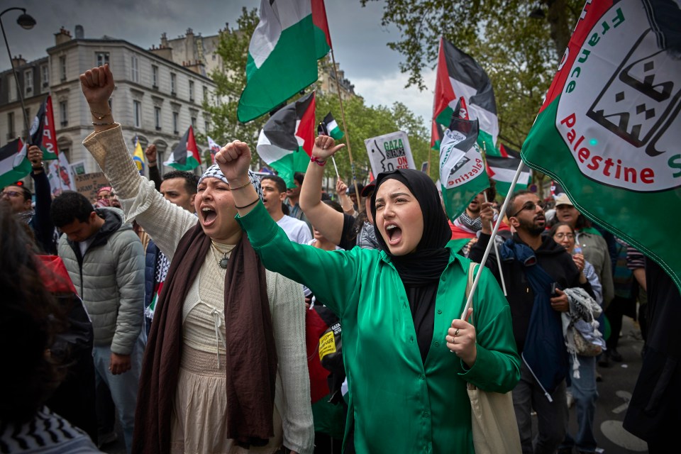 Pro-Palestinian Protesters chant holding flags as they march among thousands